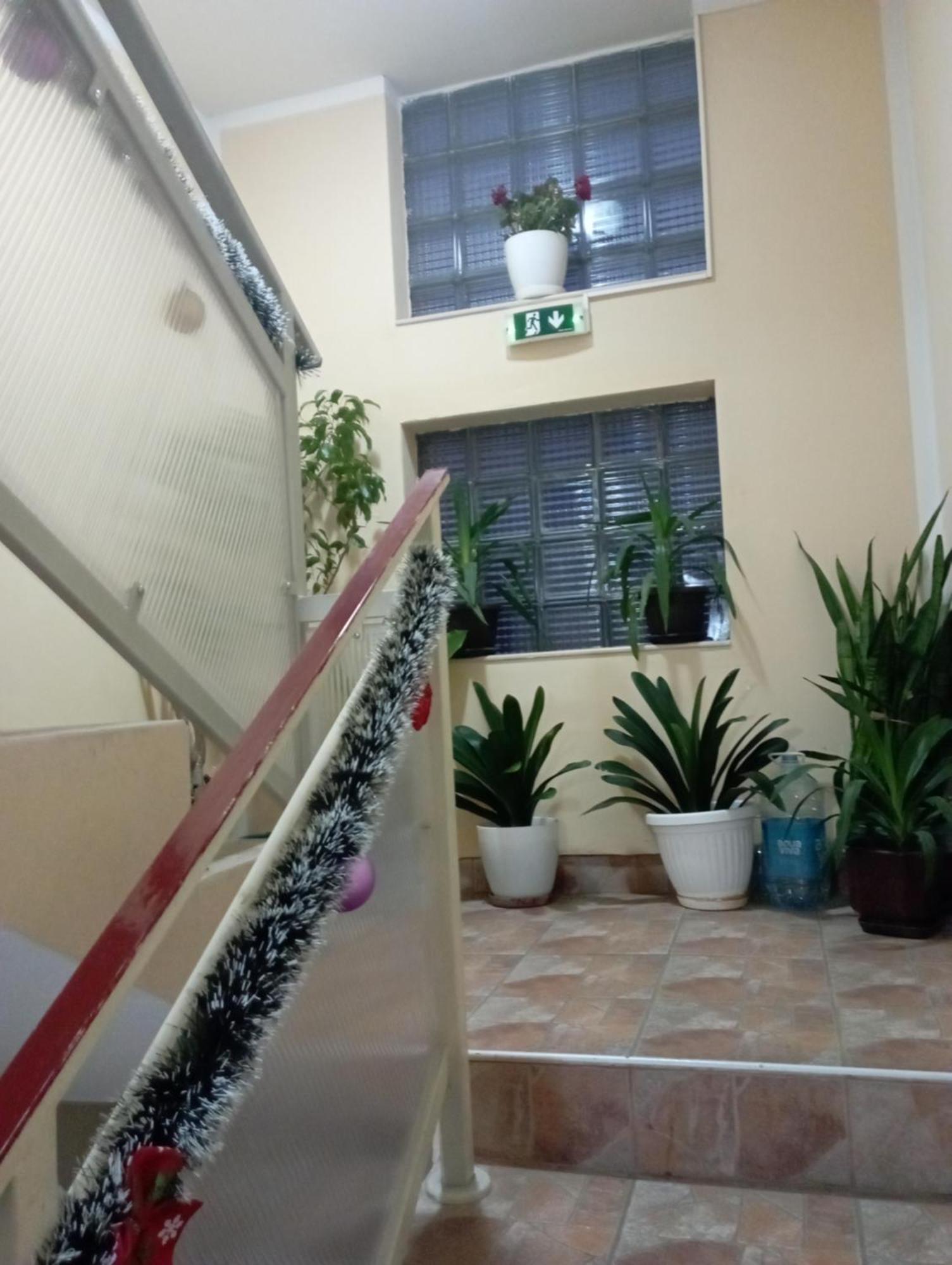 Apartments & Rooms -Mdl Lazic Beograd Eksteriør bilde